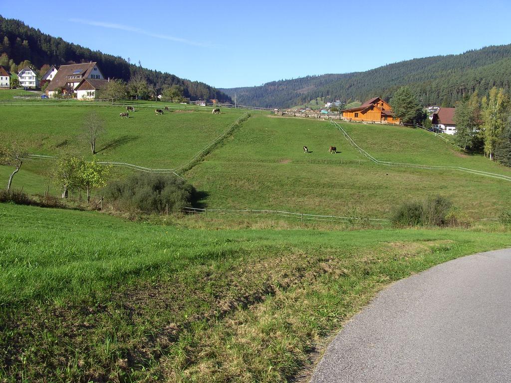 Haus Klumpp Hotell Baiersbronn Exteriör bild